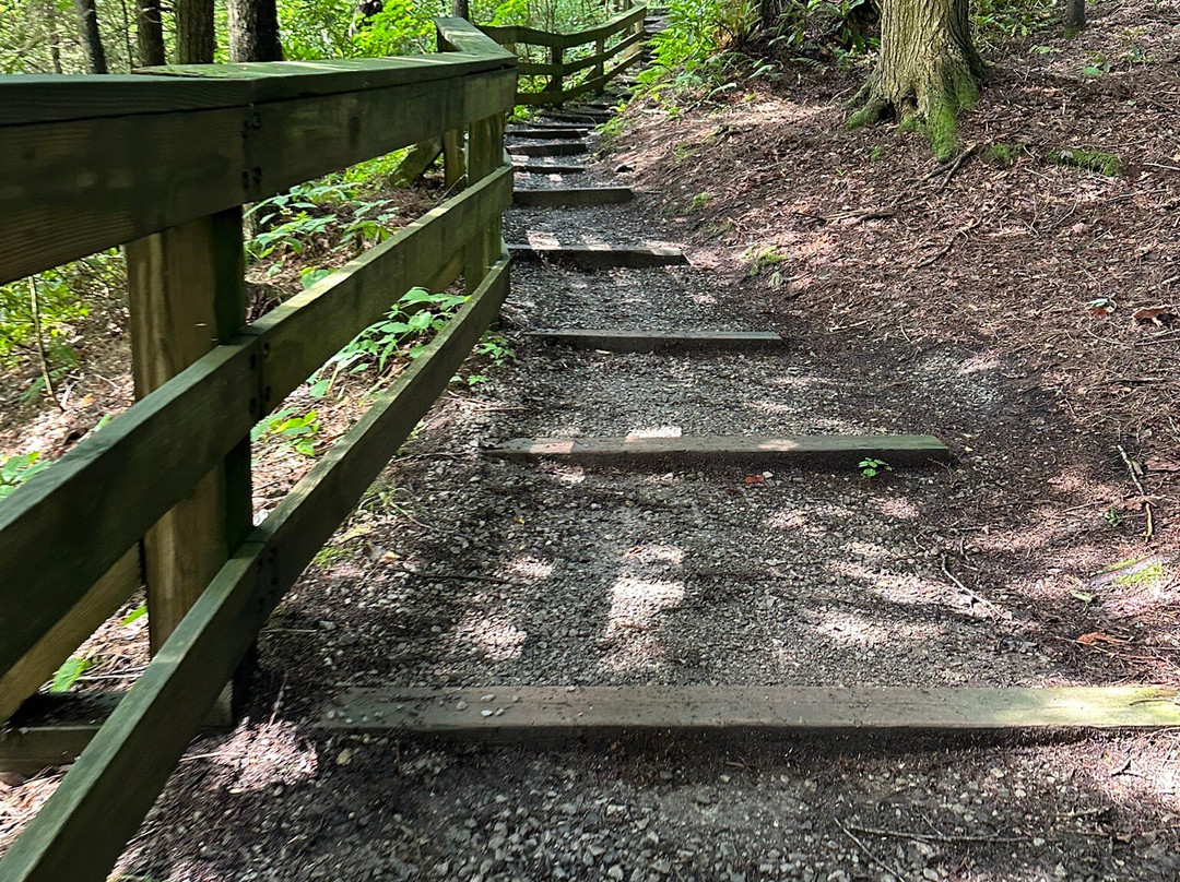 Falls of Hills Creek-Hillsboro必去景点