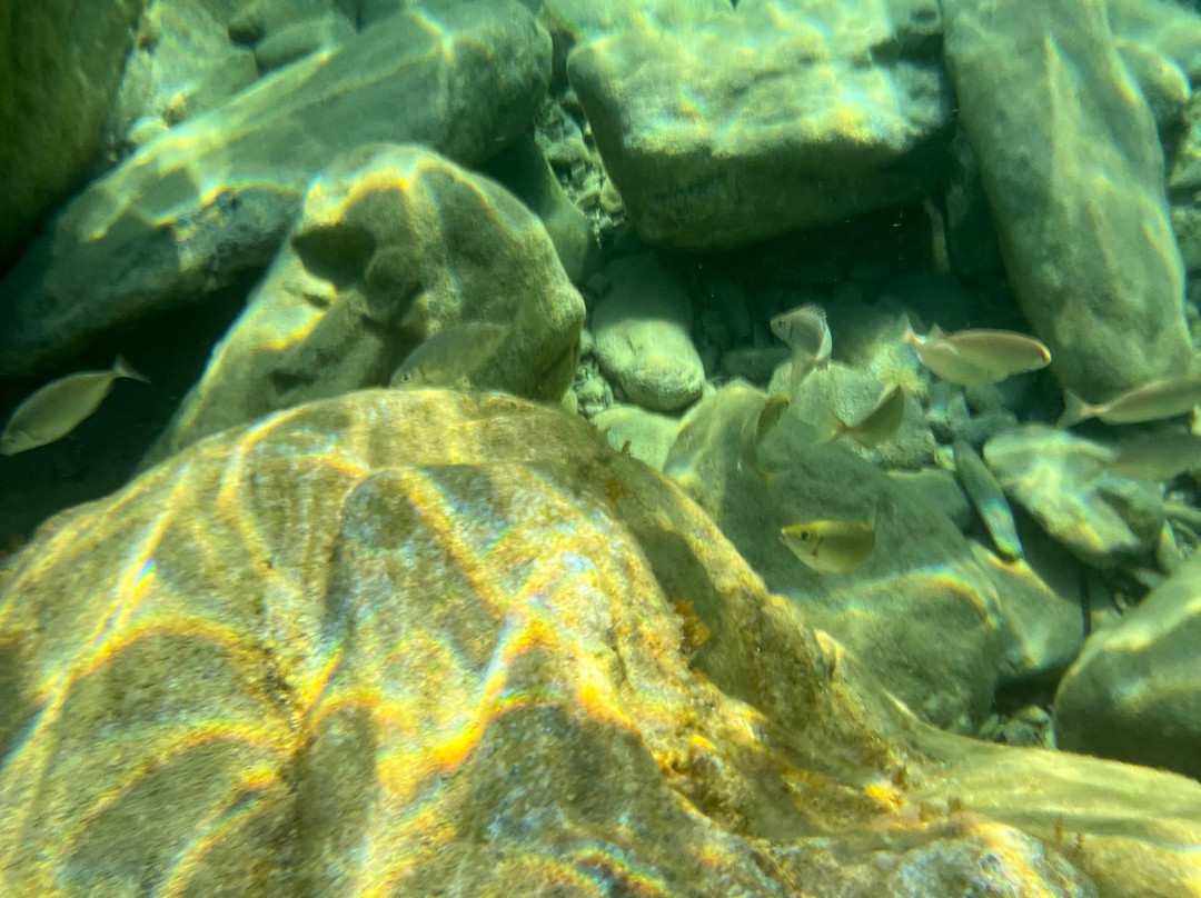 Mononaftis Beach-阿希亚贝拉希亚必去景点