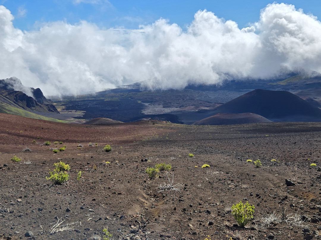 Sliding Sands Trail-哈莱亚卡拉国家公园必去景点