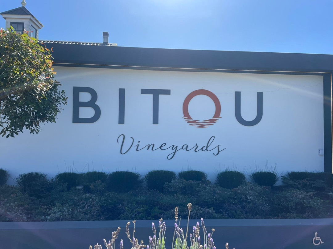 Bitou Vineyards-普利登堡湾必去景点