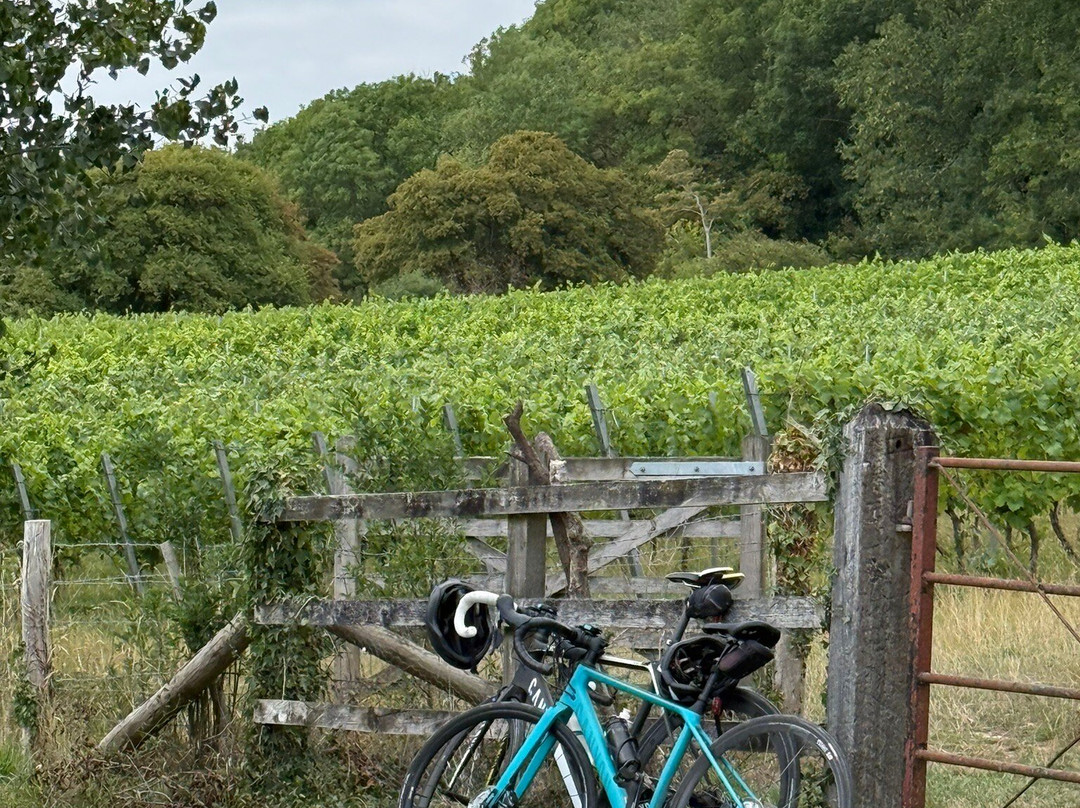 Smith and Evans Somerset Wine-Langport必去景点