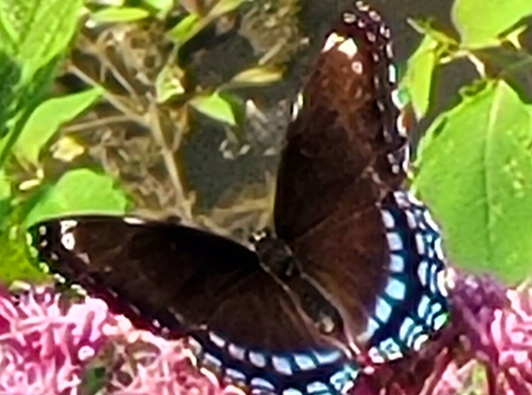 Mike Schout Wetlands Preserve-New Hamburg必去景点