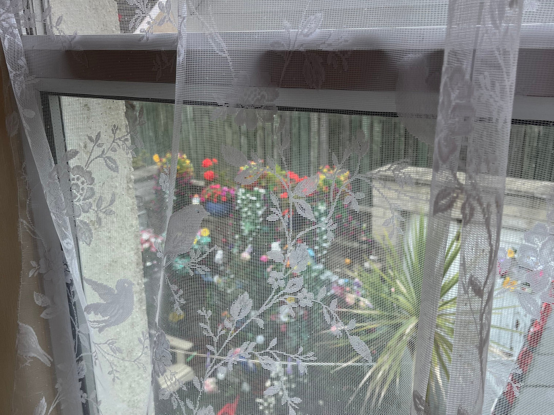 Albany House Bed and Breakfast主图