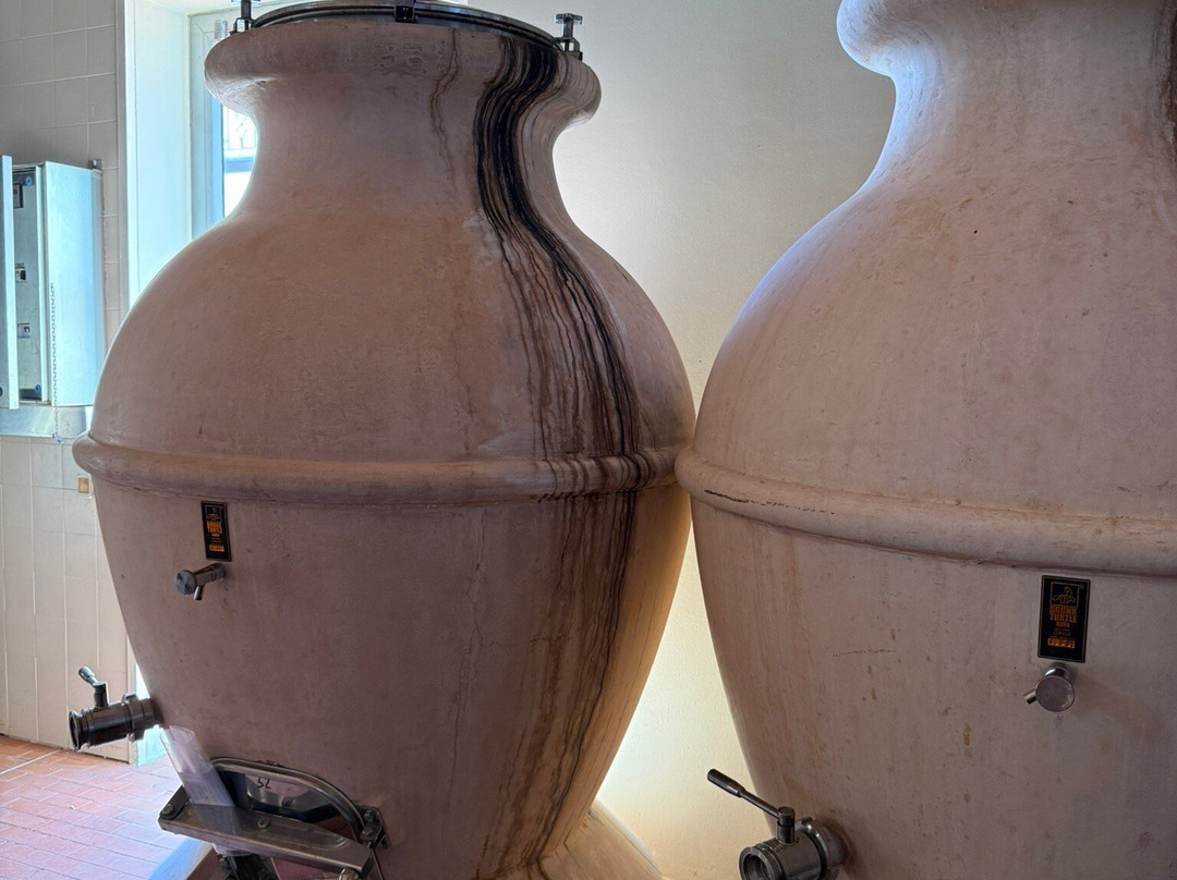 Fattoria Bruno Nicodemi