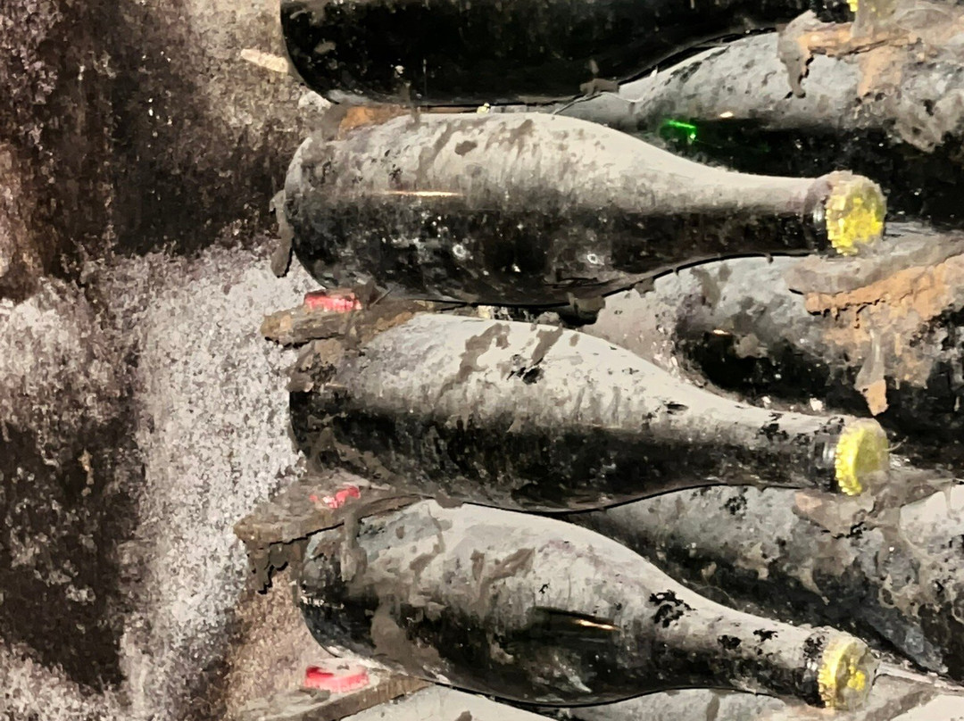 Langlois Crémant de Loire-梭缪尔必去景点