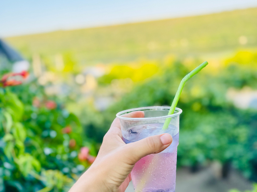 Hanul Lui Hanganu-Rezina必去景点