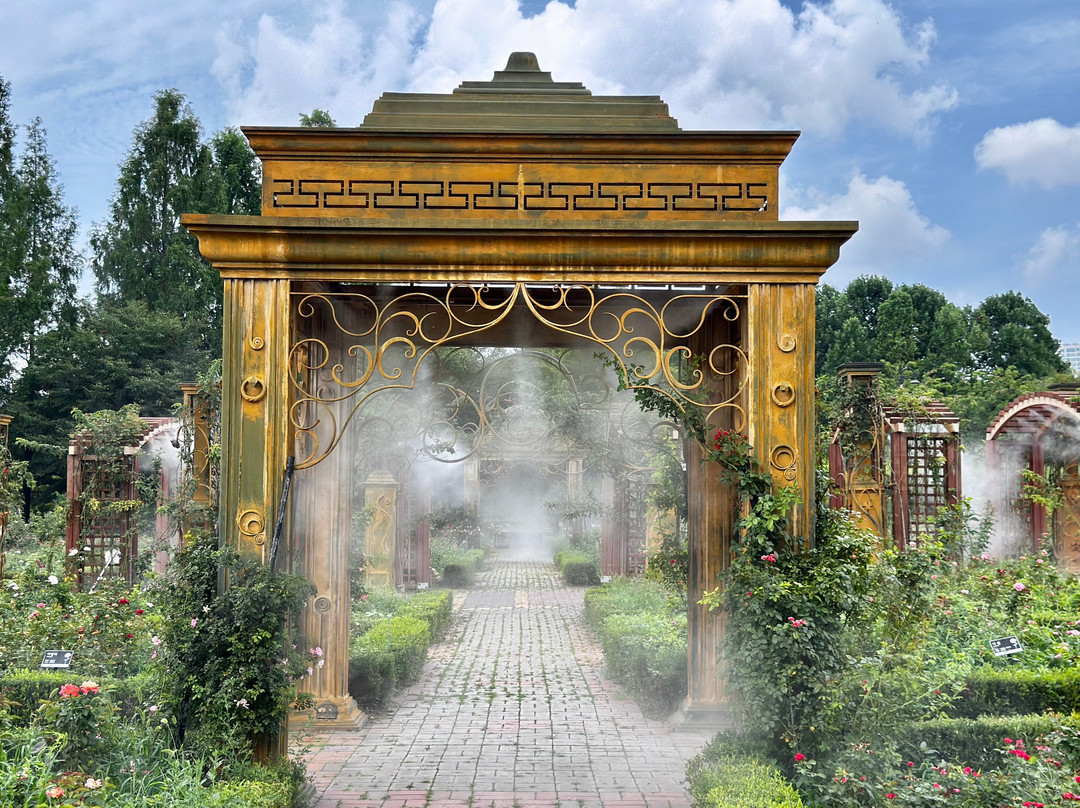 Hanbat Arboretum-大田必去景点