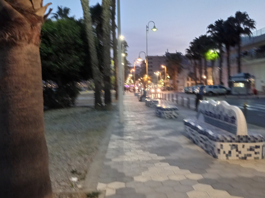 Playa San Cristobal-阿尔穆涅卡尔必去景点