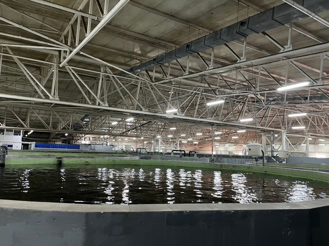 Aquatir Sturgeon Complex-Tiraspolul Nou必去景点