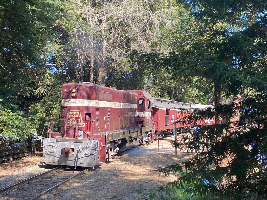 Roaring Camp Railroads-圣克鲁斯必去景点
