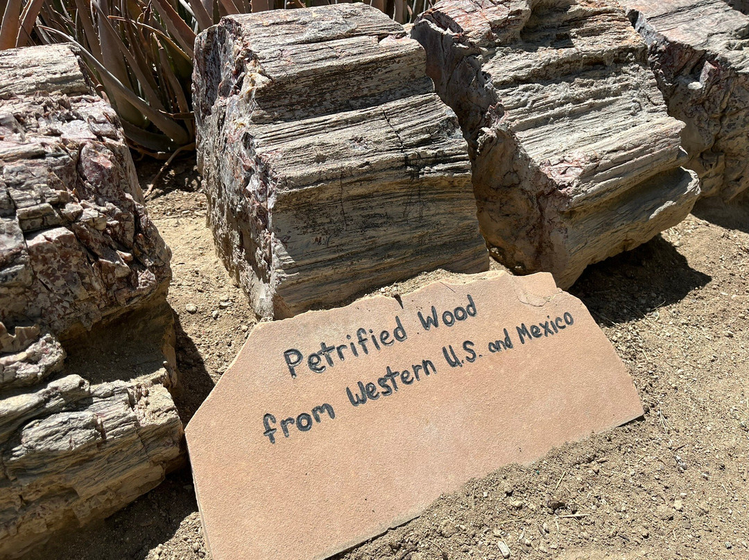 摩登热带植物园-棕榈泉市必去景点