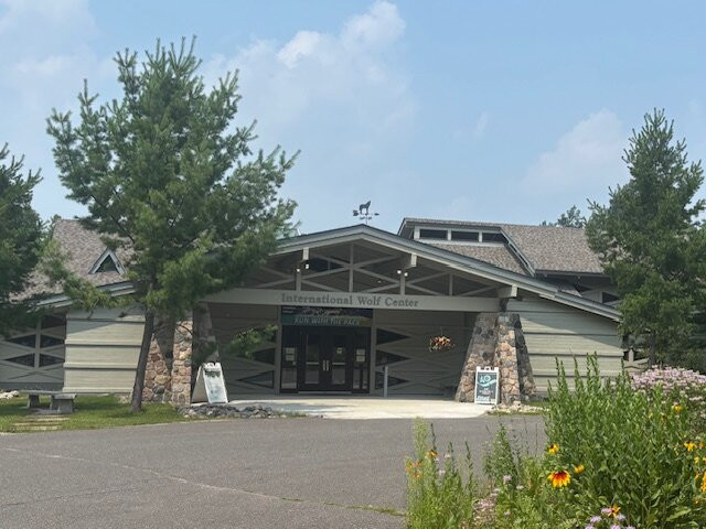 International Wolf Center-伊利必去景点