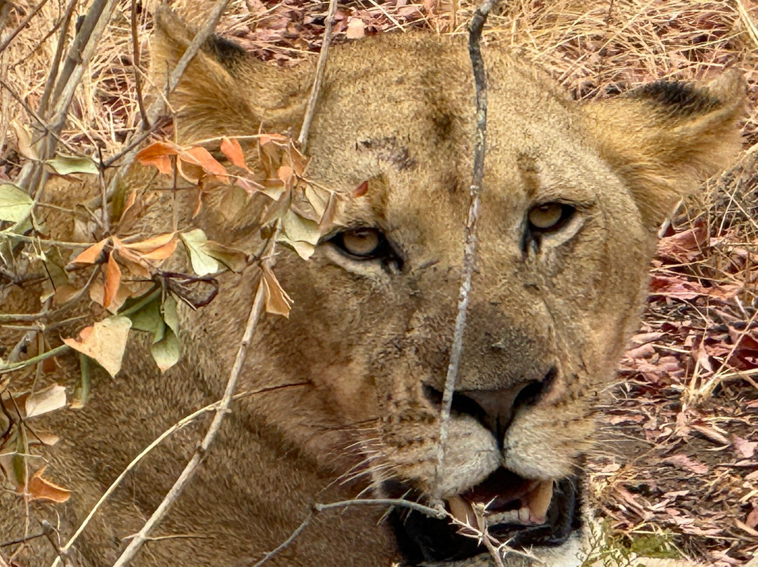 Explore RwandaTours-吉佳利必去景点