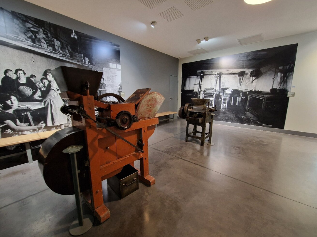 Musée du Calisson, Confiserie du Roy René-普罗旺斯必去景点