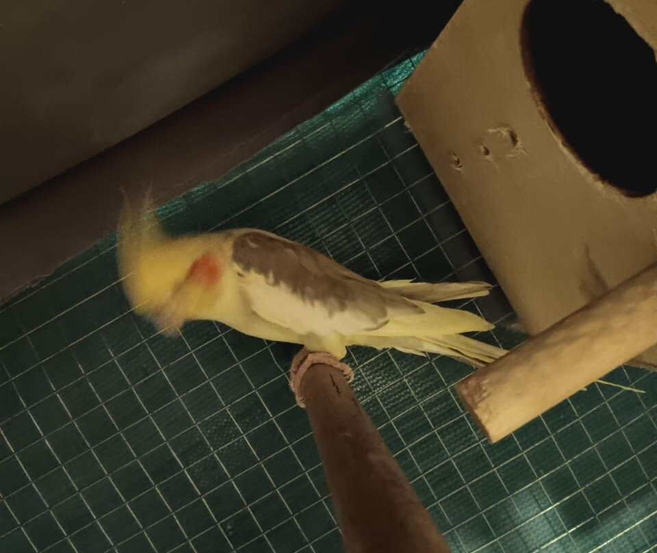 Bella Trips Marsa Alam-马萨阿拉姆必去景点