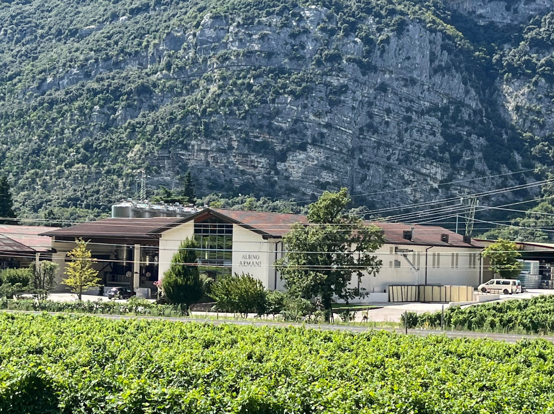 Azienda Agricola Albino Armani 1607-Dolce'必去景点