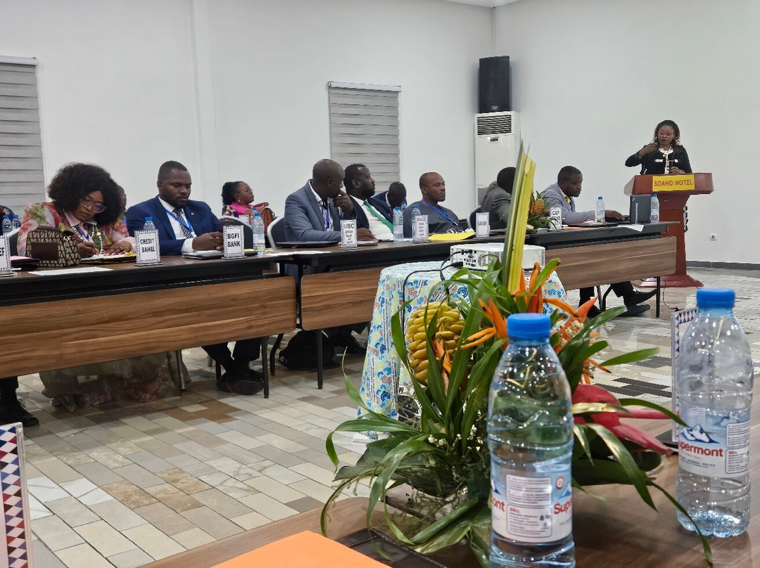 Best Western Plus Soaho Douala Airport主图