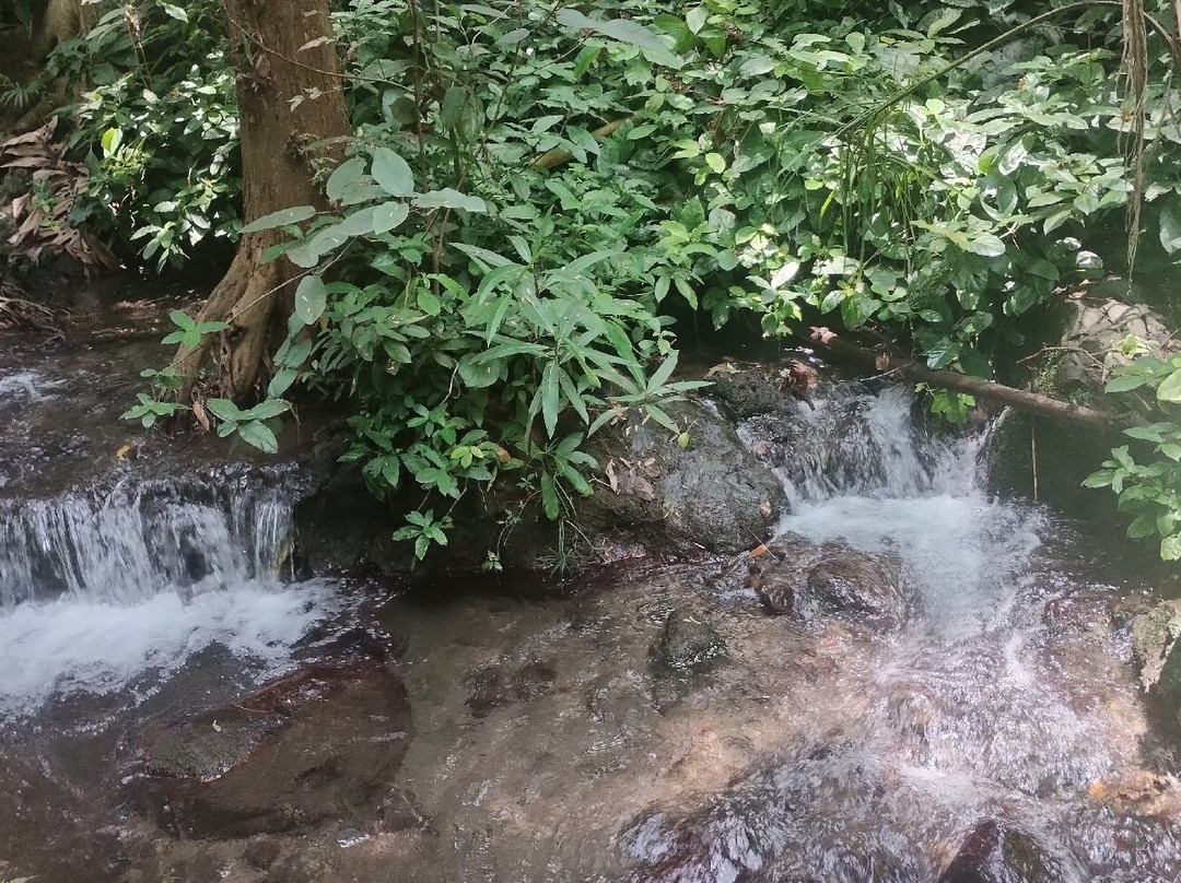 Parque Barranca Chapultepec-奎尔纳瓦卡必去景点