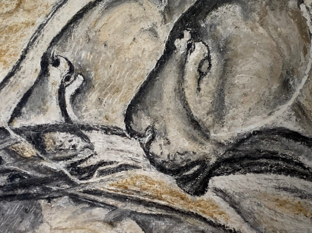 Grotte Chauvet 2 Ardèche-瓦隆蓬达尔克必去景点