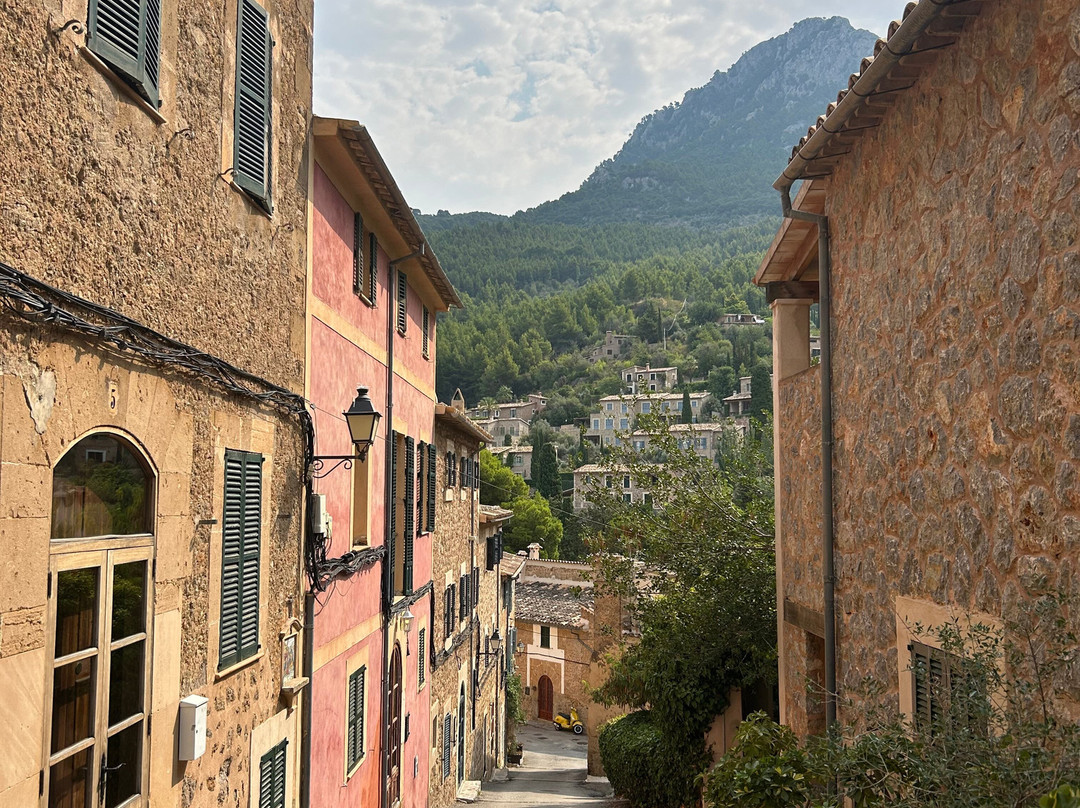 Bullimoto Port Soller-索列尔港必去景点