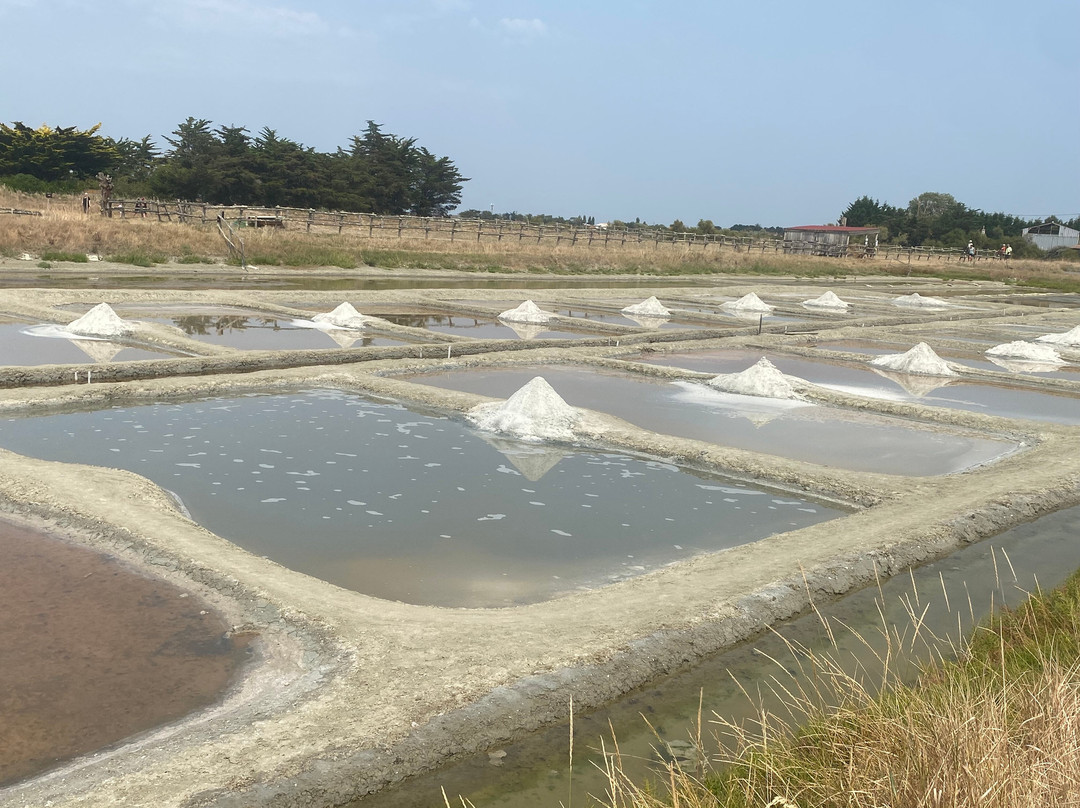 La Maison de l'Âne-Beauvoir-Sur-Mer必去景点