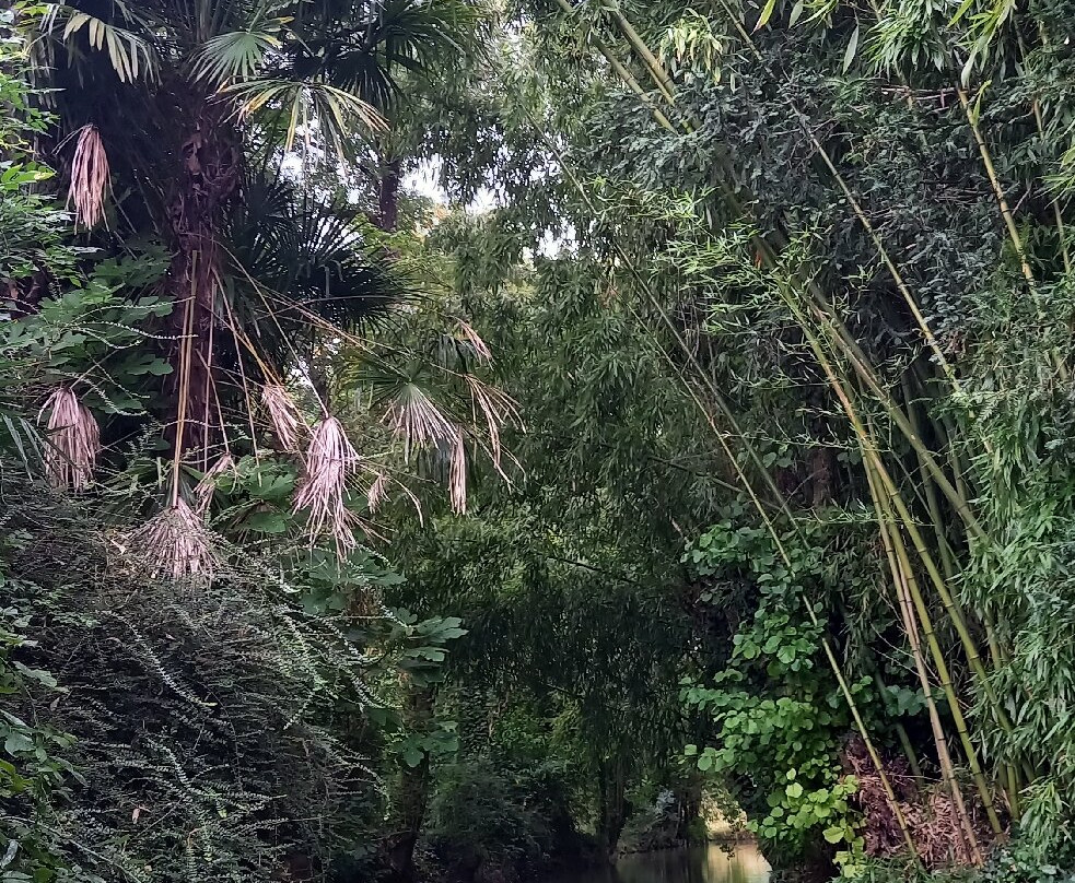 Embarcadere Cardinaud - Marais poitevin-Nouvelle-Aquitaine必去景点