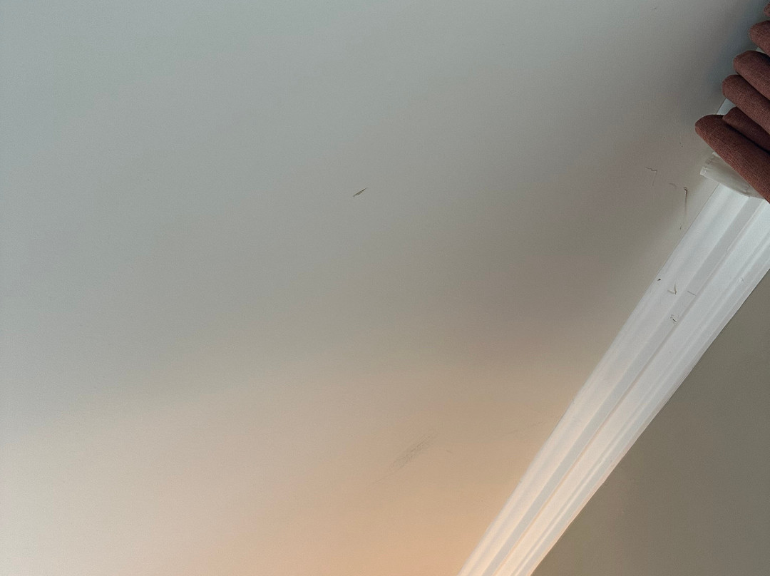 Tulfarris Hotel & Golf Resort主图