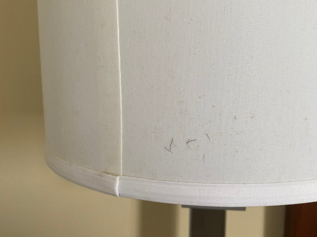 Comfort Inn Festus主图