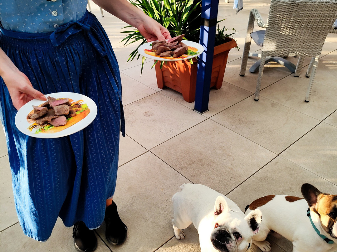 Flairhotel Am Wörthersee主图