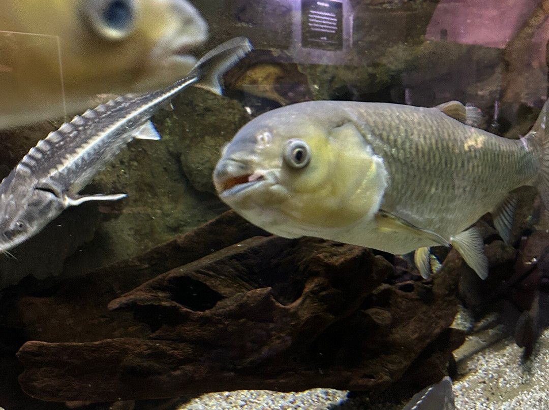 Aquarium du Limousin-利摩日必去景点