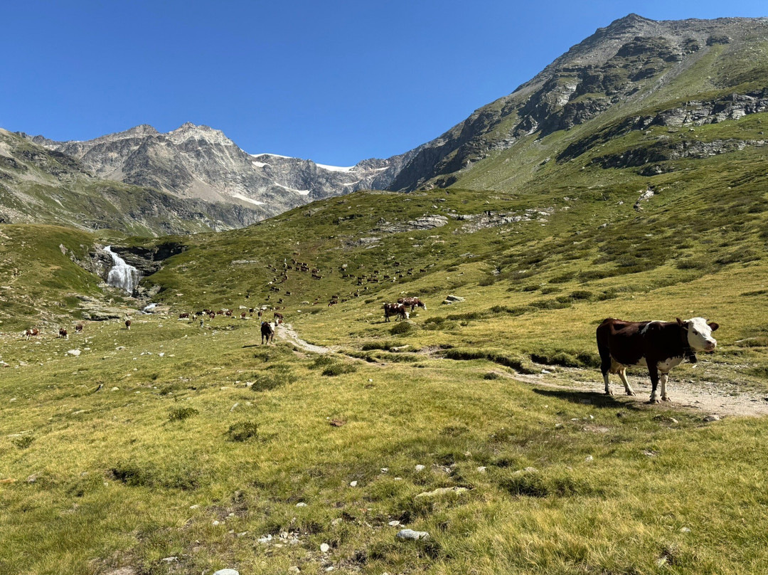 Lago di San Grato-Valgrisenche必去景点