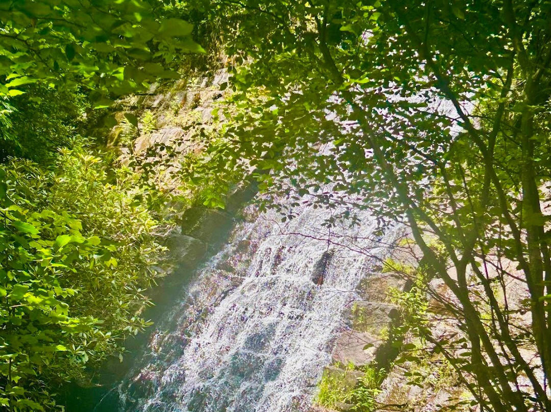 Paris Mountain State Park-格林维尔必去景点