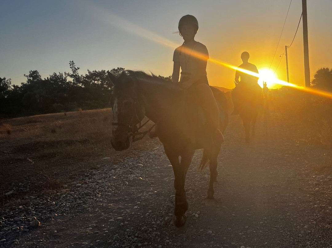 Rocking Horse Ranch-Gennadi必去景点