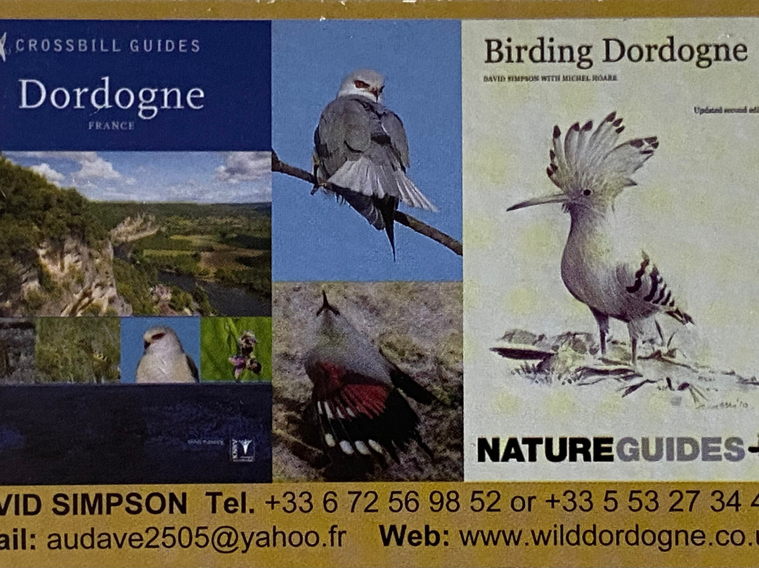 Birdwatching & Nature walks in Dordogne (Wild Dordogne)-Bergerac必去景点