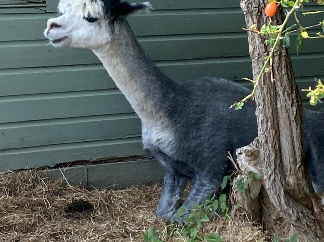 Fisherwood farm-Robertsbridge必去景点