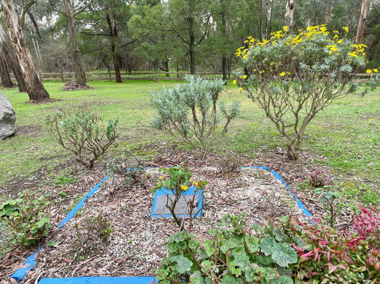 Ripplebrook Cemetery-Ripplebrook必去景点