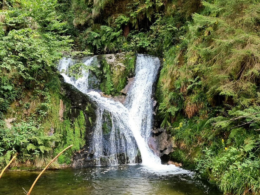 Allerheiligen Wasserfalle-Oppenau必去景点