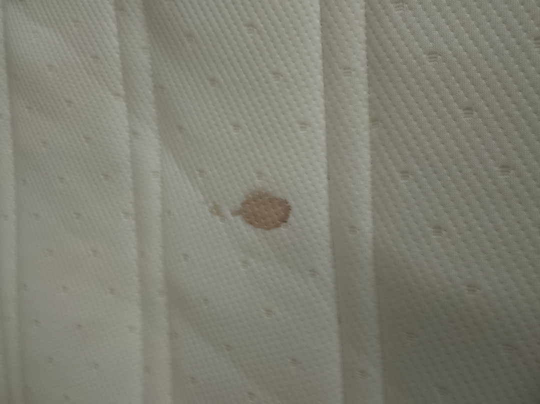 Brit Hôtel Aux Sacres Reims Centre主图