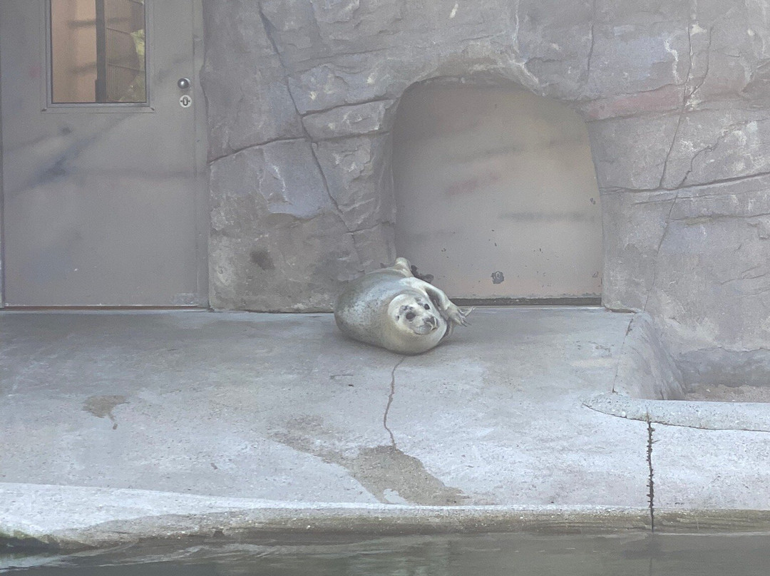 Zoo Karlsruhe-卡尔斯鲁厄必去景点