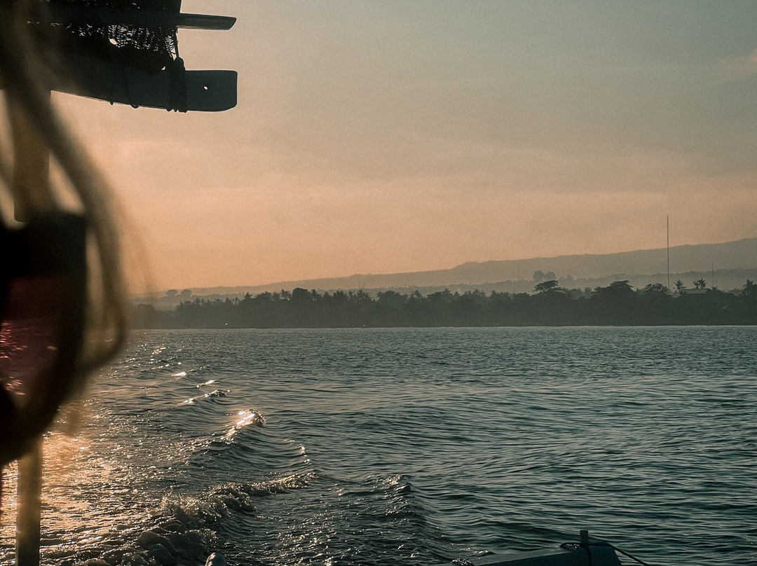 Lovina Dolphin Adventure-罗威那海滩必去景点