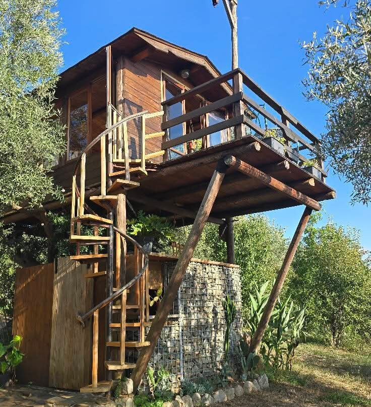Golden Camp