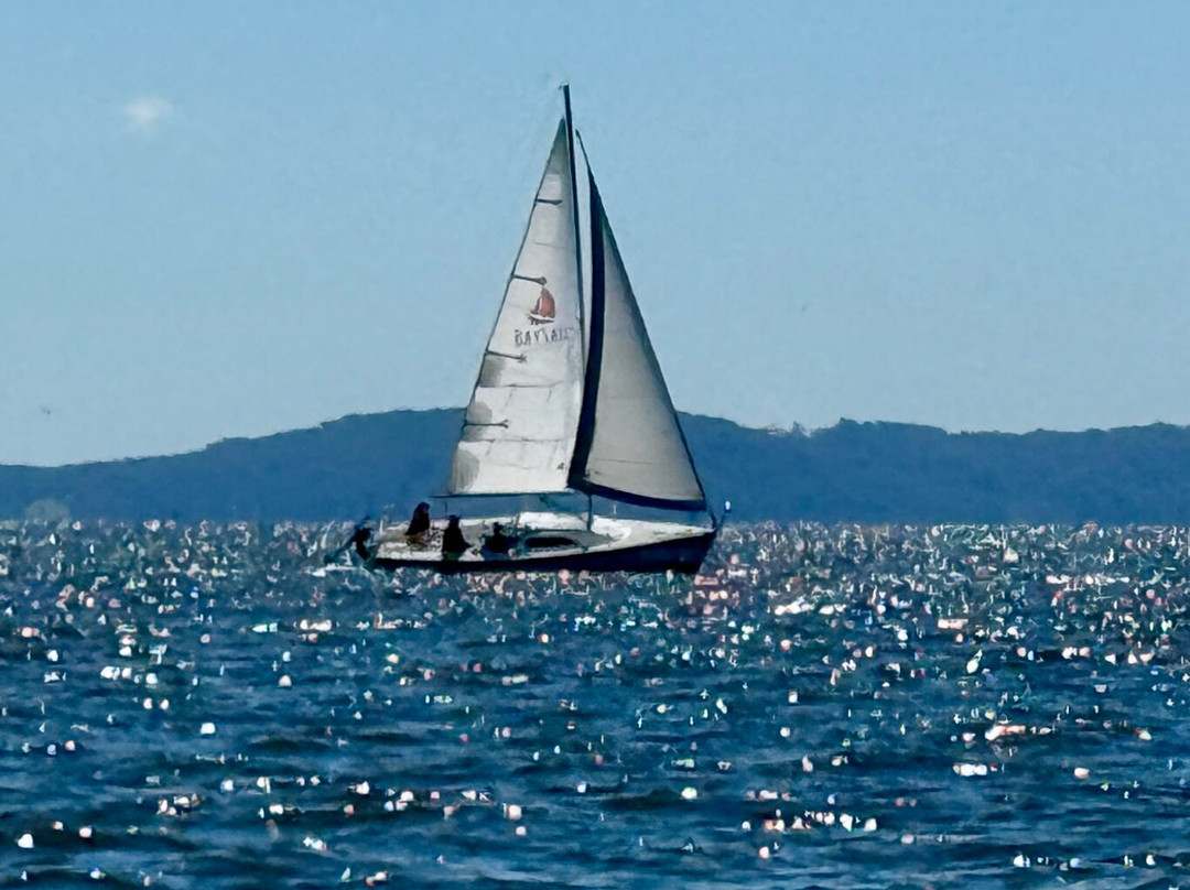 Baysail School & Yacht Charter - Day Tours-Havre de Grace必去景点
