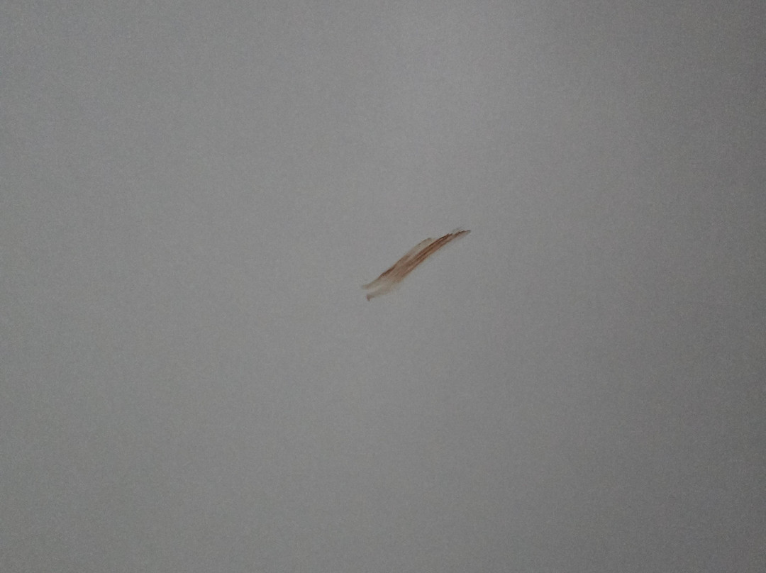 Rooms & Apartments Archontou主图