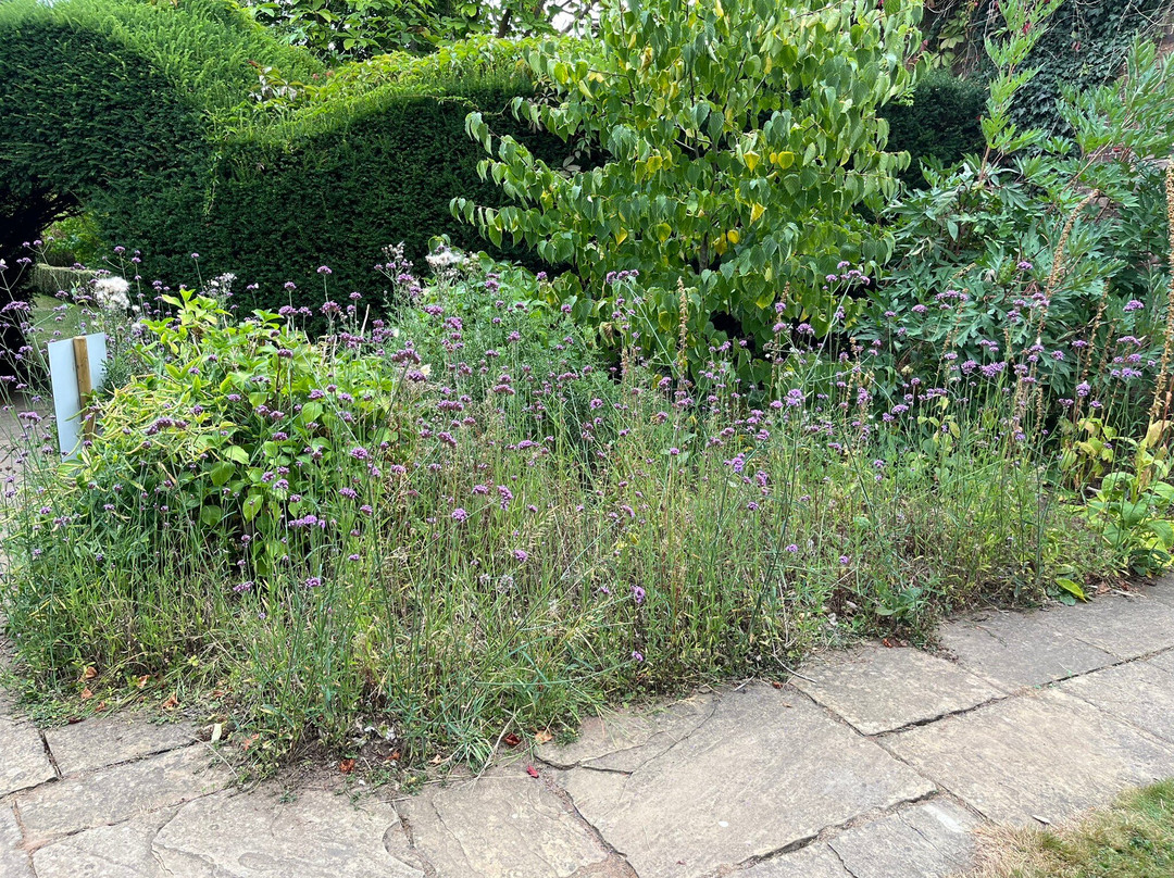 Arley Arboretum & Gardens-Upper Arley必去景点