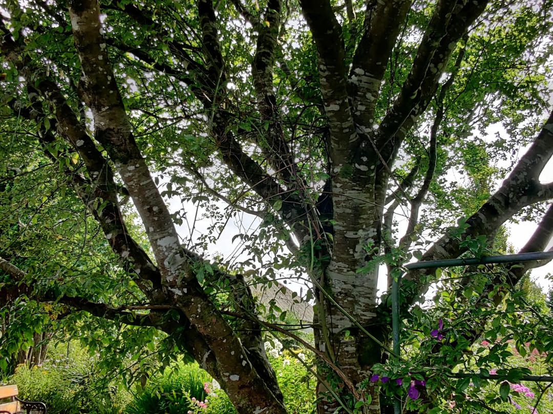 Salthill Garden-Mountcharles必去景点