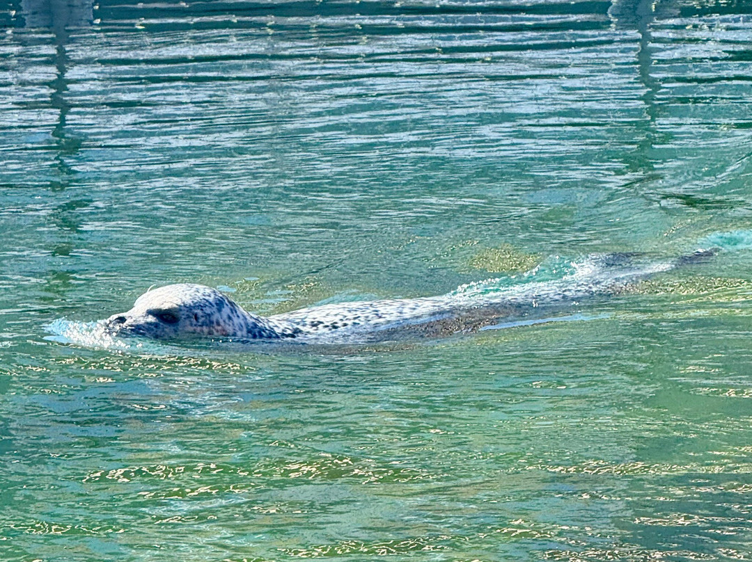 Fjord & Baelt-凯特明讷必去景点