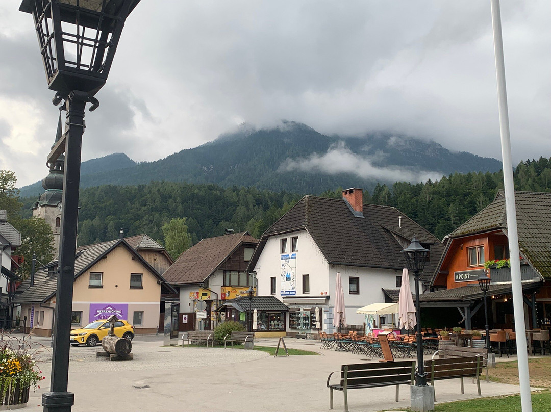 Kranjska Gora酒店住宿-Vitranc Apartments