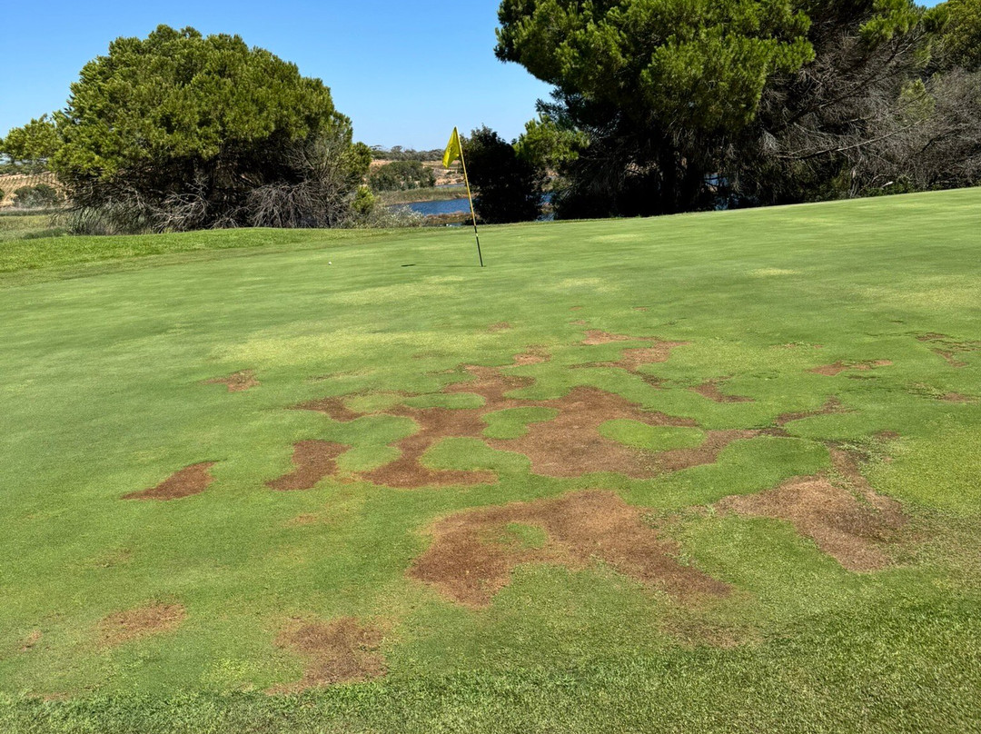San Lorenzo Golf Course-Quinta do Lago必去景点