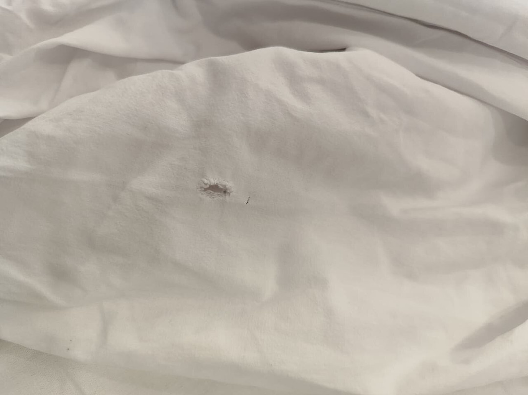 Sheki Park Hotel主图