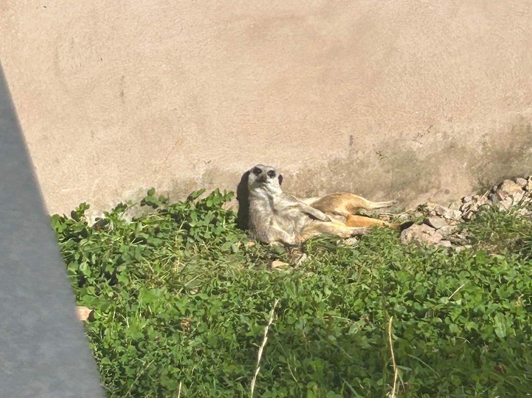 Wynford Farm Playbarn-Kingswells必去景点